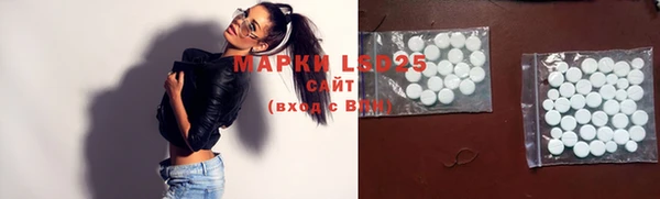 ECSTASY Алзамай