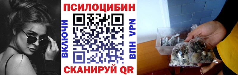 Галлюциногенные грибы мицелий  хочу наркоту  Тверь 