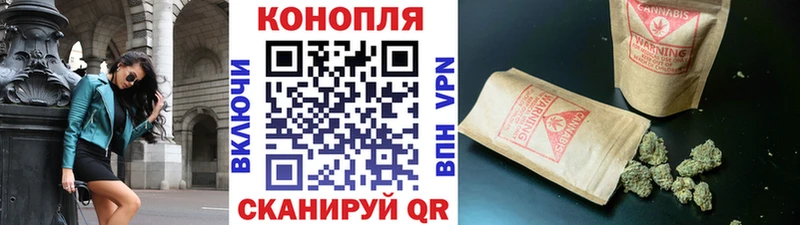 Конопля сатива  Тверь 